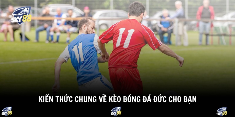 Kèo Bóng Đá Đức 1 Kiến thức chung về kèo bóng đá Đức cho bạn