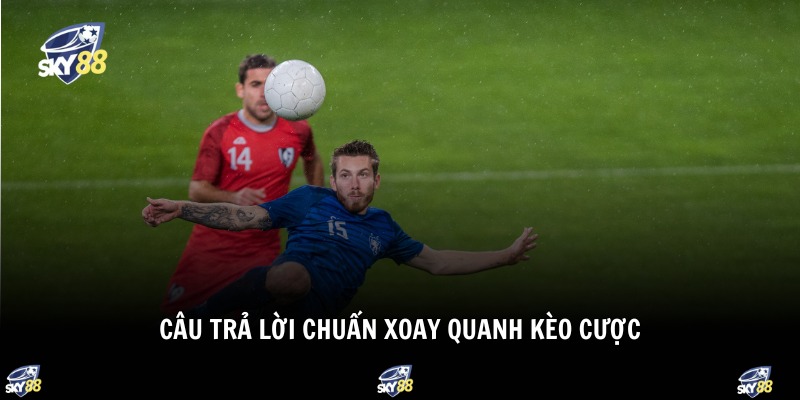 Kèo Bóng Đá Ngoại Hạng Anh 3 Câu trả lời chuẩn xoay quanh kèo cược