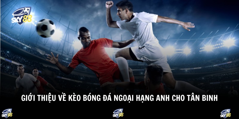 Kèo Bóng Đá Ngoại Hạng Anh 1 Giới thiệu về kèo bóng đá ngoại hạng Anh cho tân binh